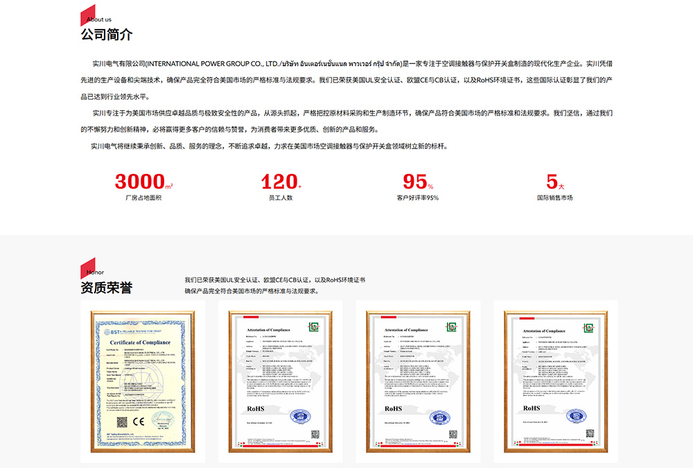 热烈庆祝实川电气有限公司官网改版升级成功！